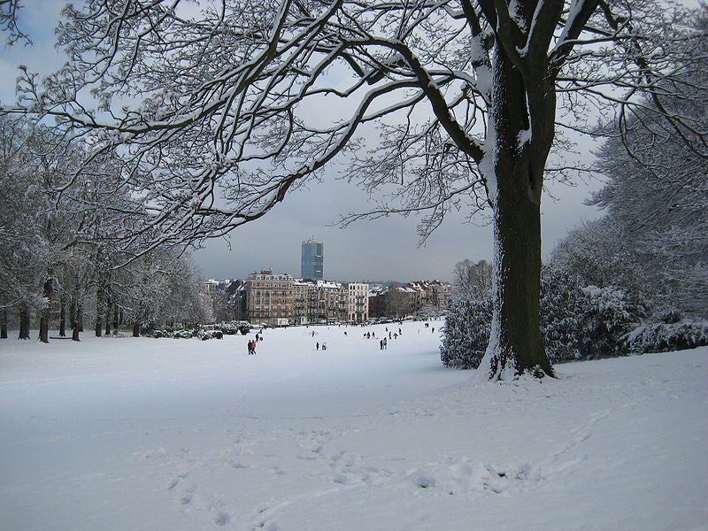 Parc de Forest during winter